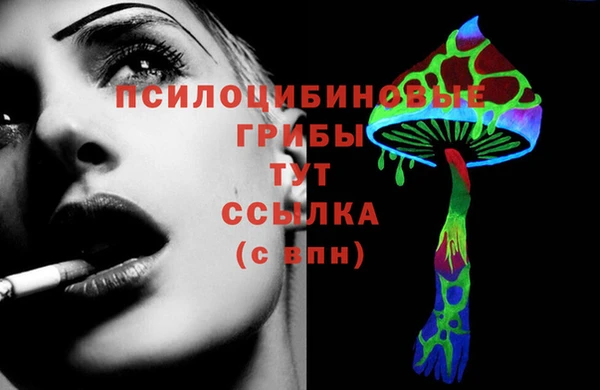 бошки Алексеевка