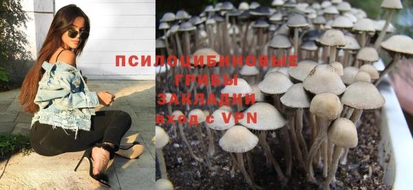 бошки Алексеевка