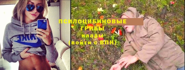 бошки Алексеевка